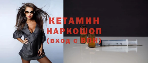 сатива Кулебаки