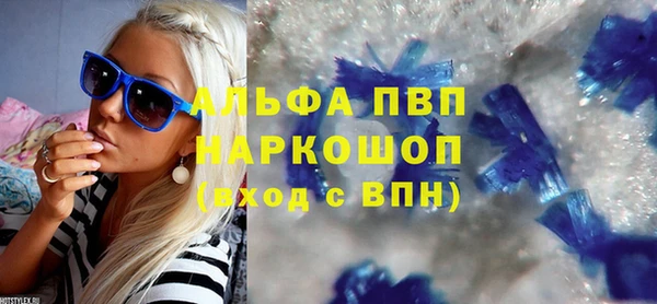 сатива Кулебаки