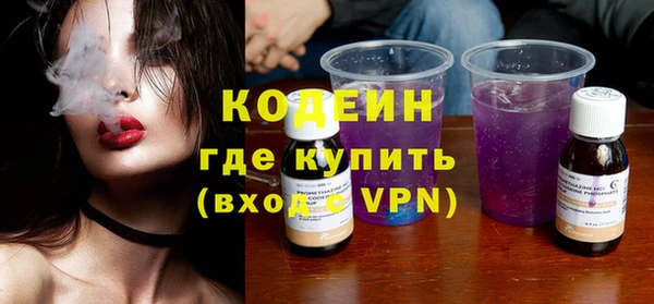 сатива Кулебаки