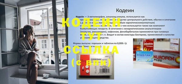 сатива Кулебаки