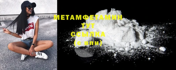 сатива Кулебаки
