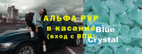 сатива Кулебаки