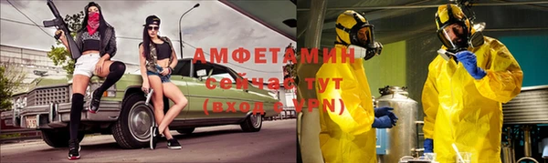 сатива Кулебаки