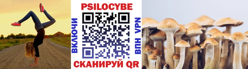 Купить  Гаврилов Посад  Псилоцибиновые грибы прущие грибы 